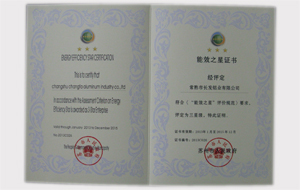 榮譽證書